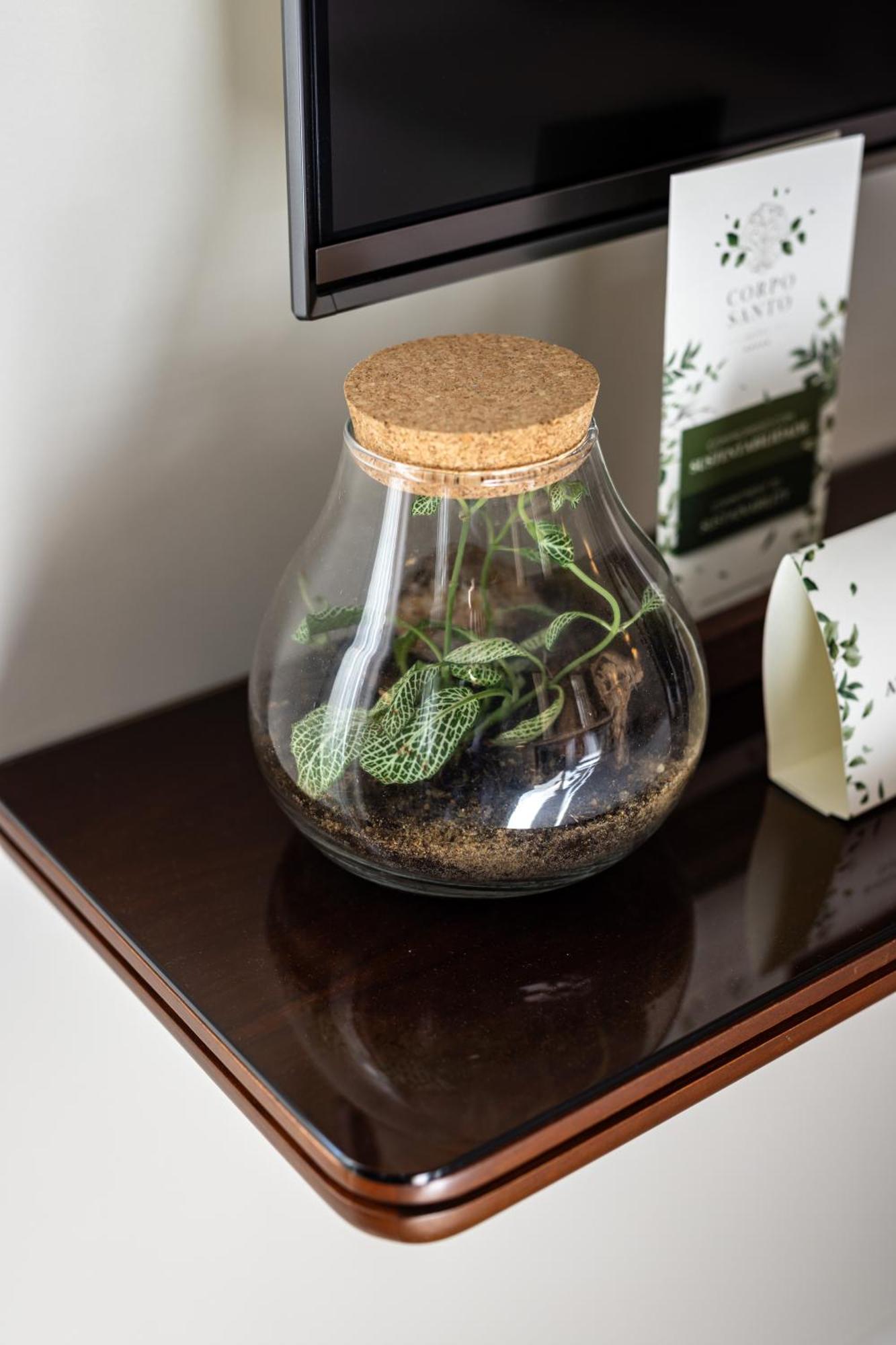 Corpo Santo Lisbon Historical Hotel Exterior photo A terrarium